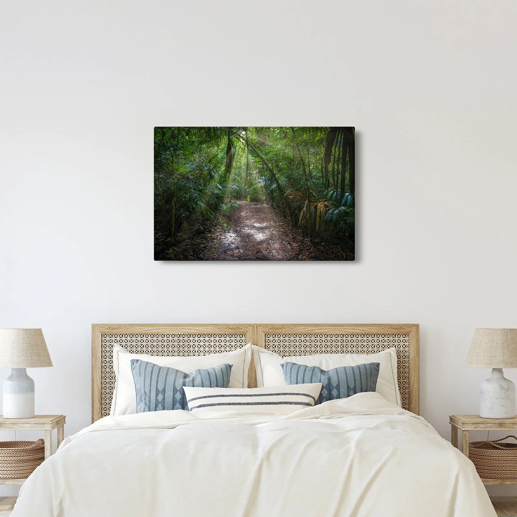 Obraz - Slnečné lúče v džungli (90x60 cm)