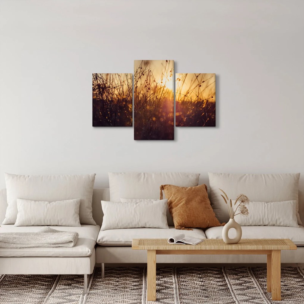 Obraz poľa pri západe slnka (90x60 cm)
