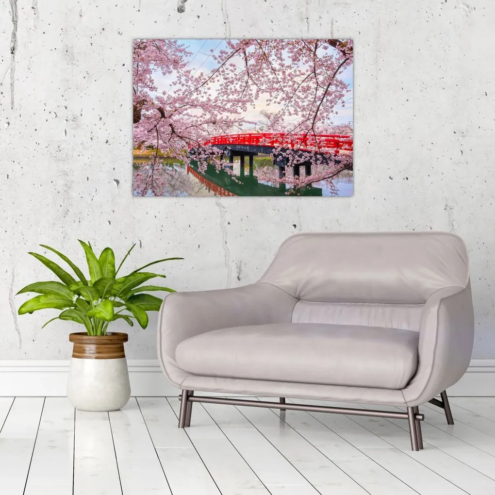 Sklenený obraz - Hirosaki, Japonsko (70x50 cm)