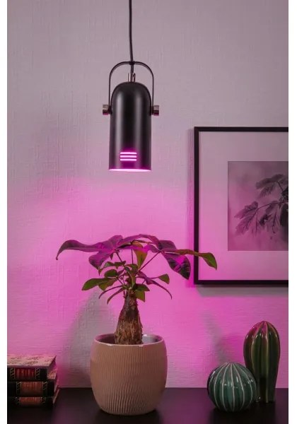 Paulmann 79766 - LED RGBW 1xE27/15W Luster na lankách LAVEA 230V čierny