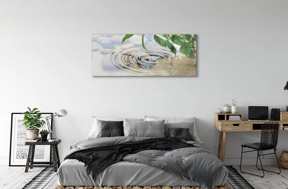 Obraz plexi Pokles striekajúcej vode 120x60 cm