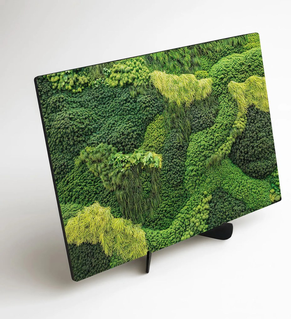 DUBLEZ | Drevený obrazu machu - Cesta prírody