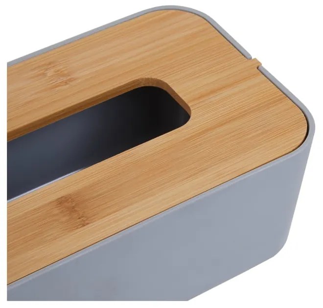 Plastový box na vreckovky Canyon – Premier Housewares