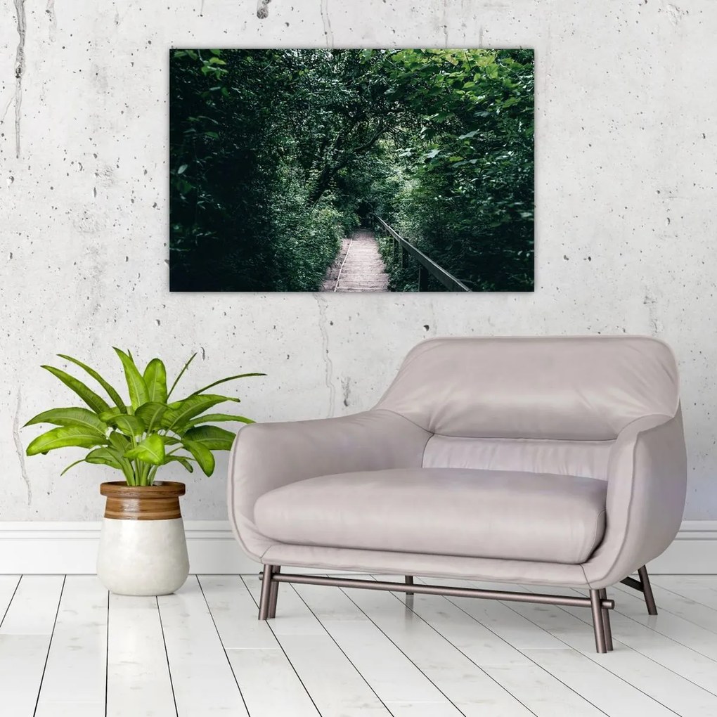 Obraz - Cesta lesom (90x60 cm)