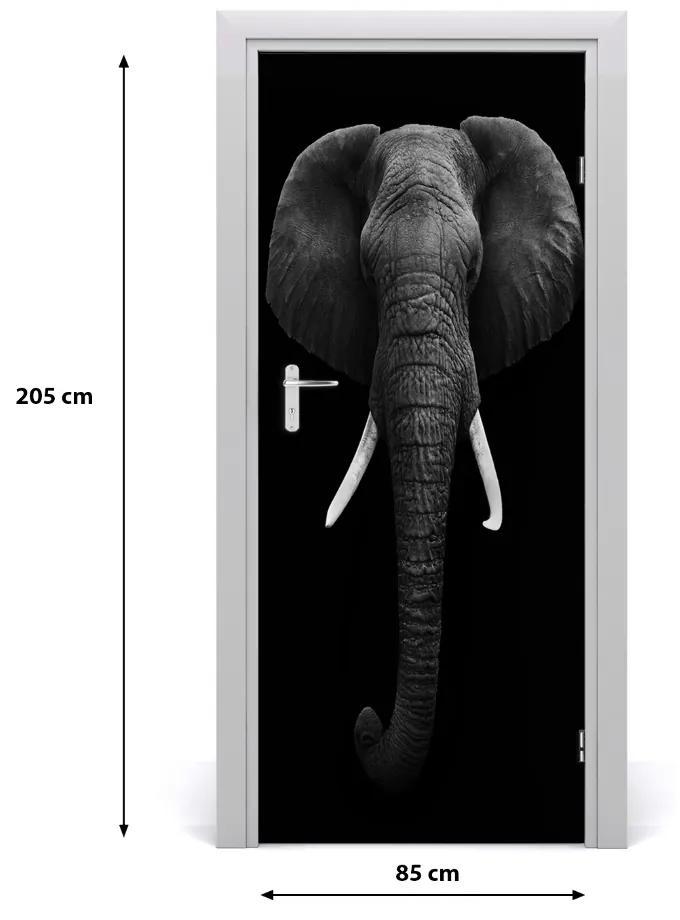 Samolepiace fototapety na dvere africký slon 85x205 cm
