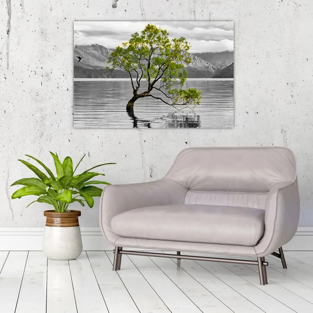 Obraz stromu uprostred jazera (90x60 cm)