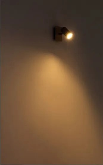 Globo 57910-1W - Nástenné bodové svietidlo ROBBY 1xGU10/25W/230V