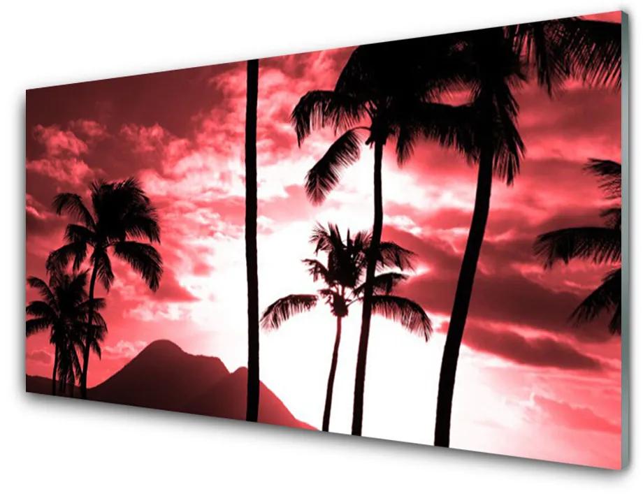 Obraz na skle Hora palmy stromy príroda 125x50 cm