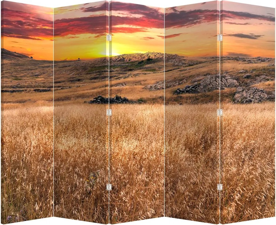 Paraván - Pole (210x170 cm)