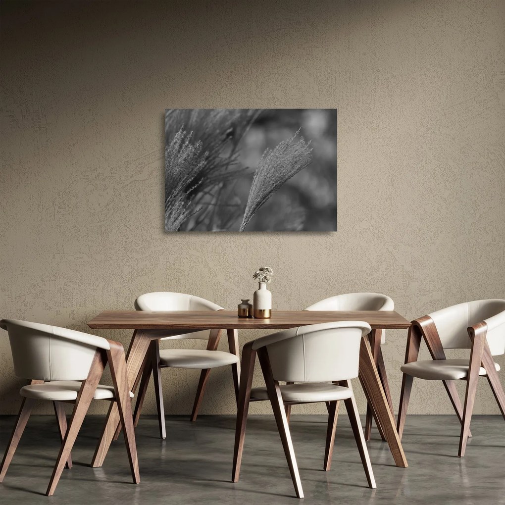 Sklenený obraz - Sušená pampová tráva (70x50 cm)