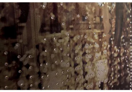 Obraz maľovaný originál 80x100 WD10487