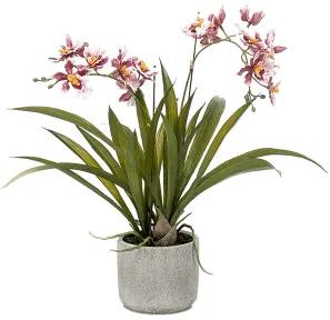 Umelá orchidea Oncidium burgundy 45 cm