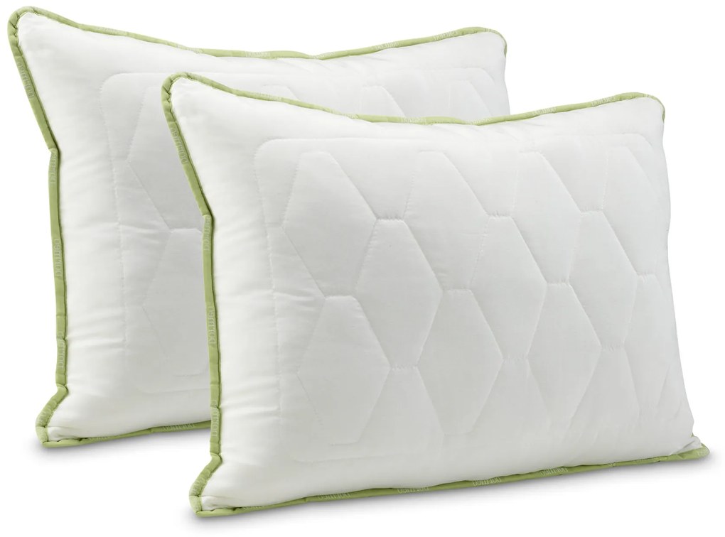 2X Dormeo Klasický Vankúš Aloe Vera 50x70 cm