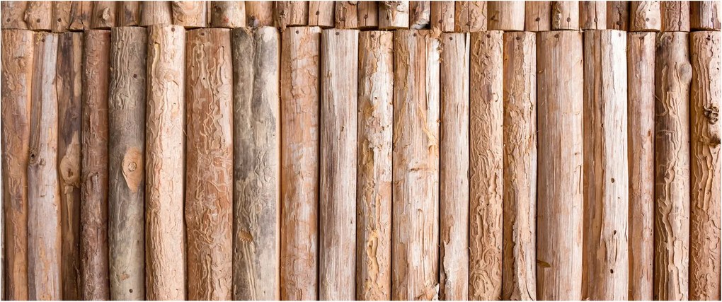 Obraz - Bambus (120x50 cm)
