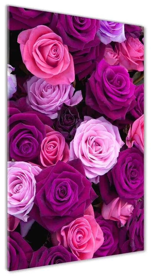 Moderný akrylový fotoobraz Ružové ruže pl-oa-70x140-f-119226087