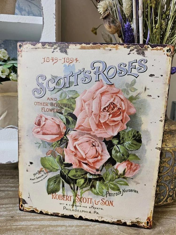 Béžová nástenná kovová ceduľa s ružami Scotts Roses - 20*25 cm