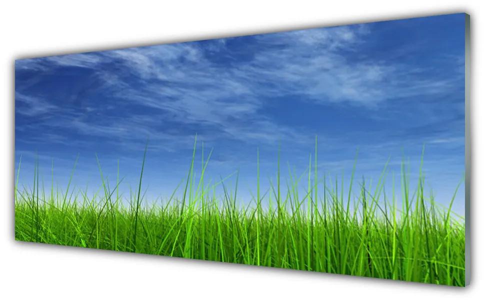 Obraz na akrylátovom skle Nebo tráva príroda 125x50 cm