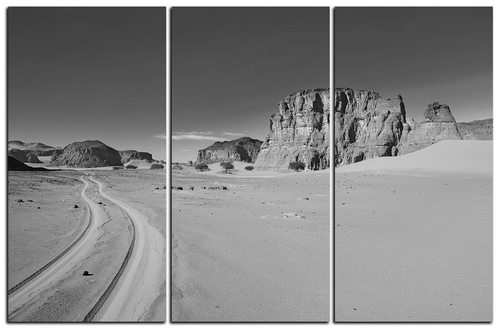 Obraz na plátne - Cesta v púšti 1129QB (105x70 cm)