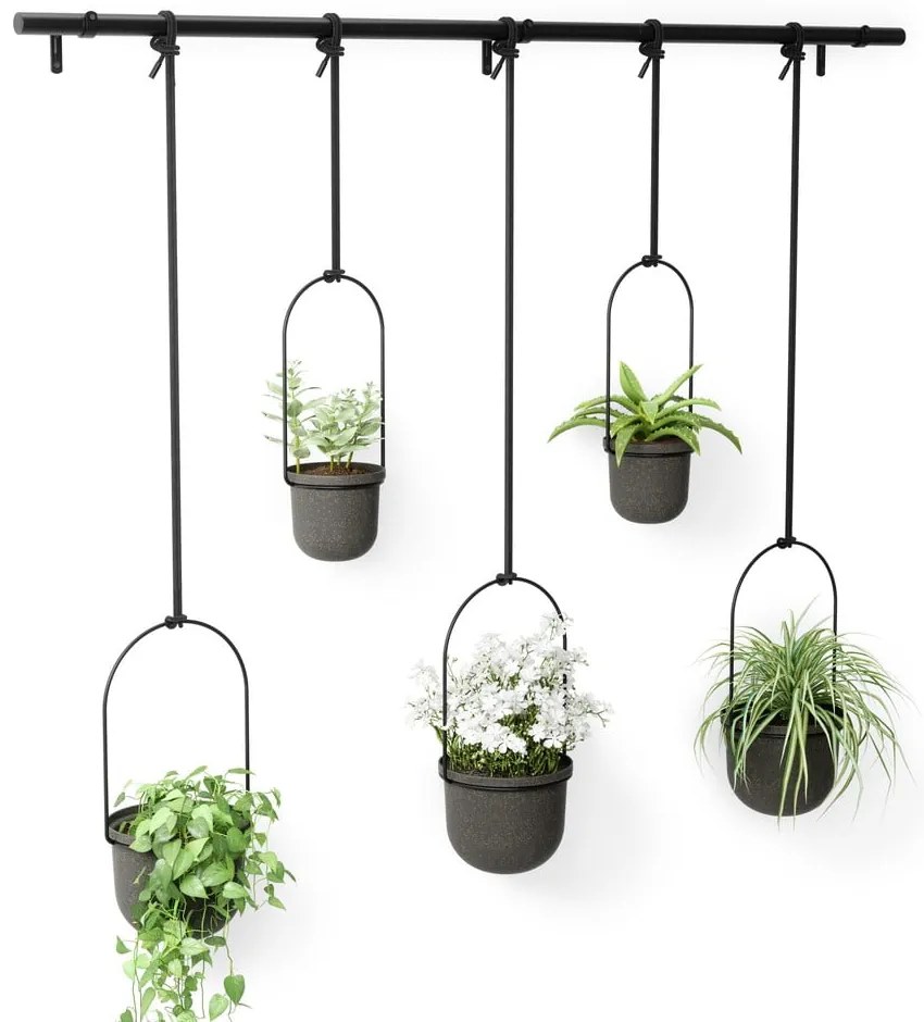 Plastové obaly na kvetináče v súprave 5 ks na bylinky/závesné a nástenné ø 7,5 cm Triflora – Umbra