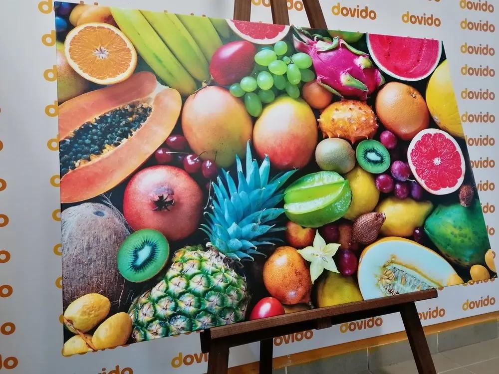 Obraz tropické ovocie - 120x80