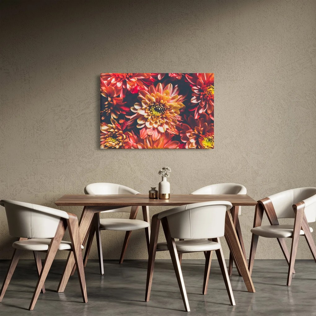 Obraz - Chryzantémy (90x60 cm)