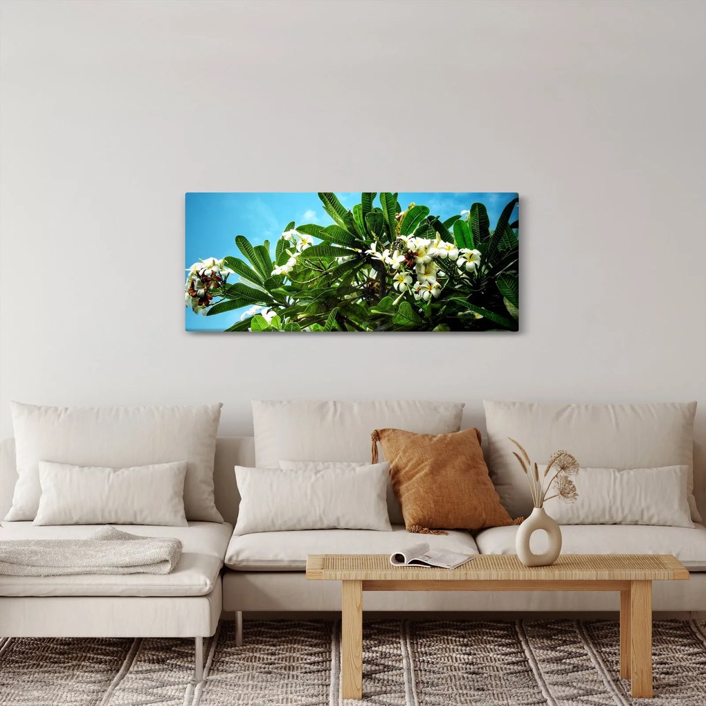 Obraz - Plumeria (120x50 cm)