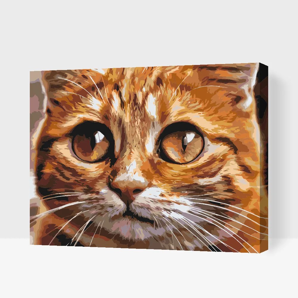 Gario Maľovanie podľa čísel Mačacie oči 2 Rozmery: 40 x 30 cm, Rámovanie: S vnútorným rámom