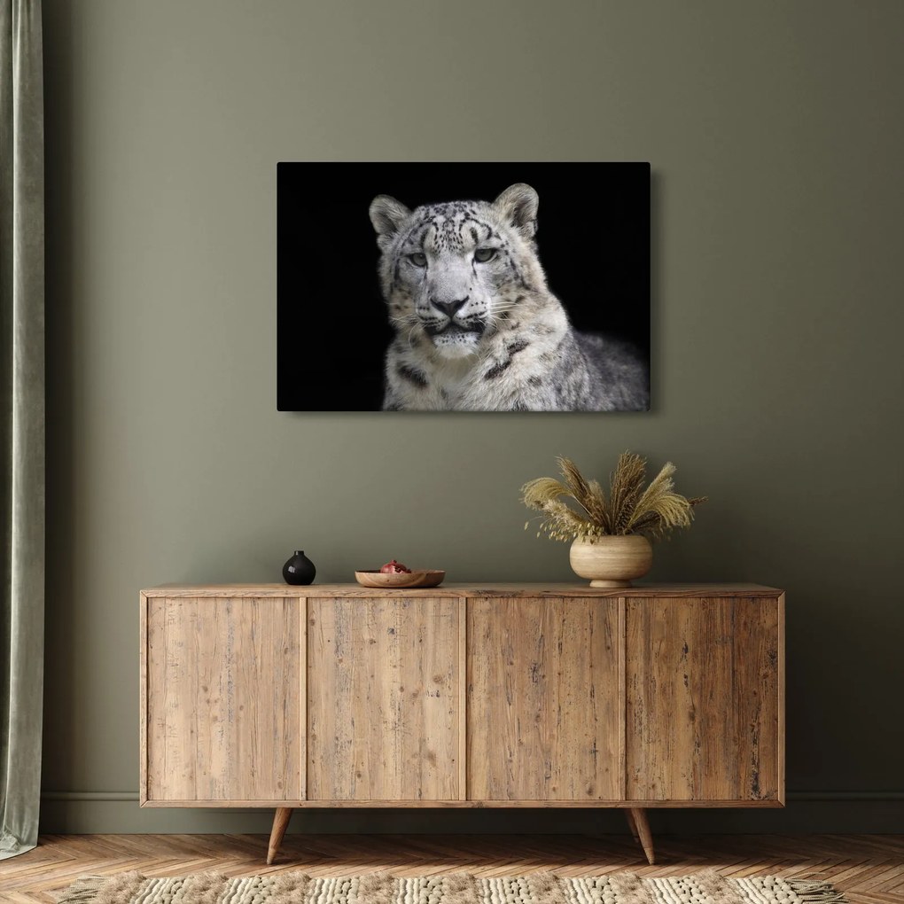 Obraz - Leopard snežný (90x60 cm)