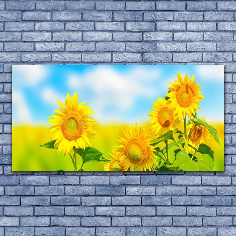 Obraz plexi Slnečnica kvety príroda 120x60 cm