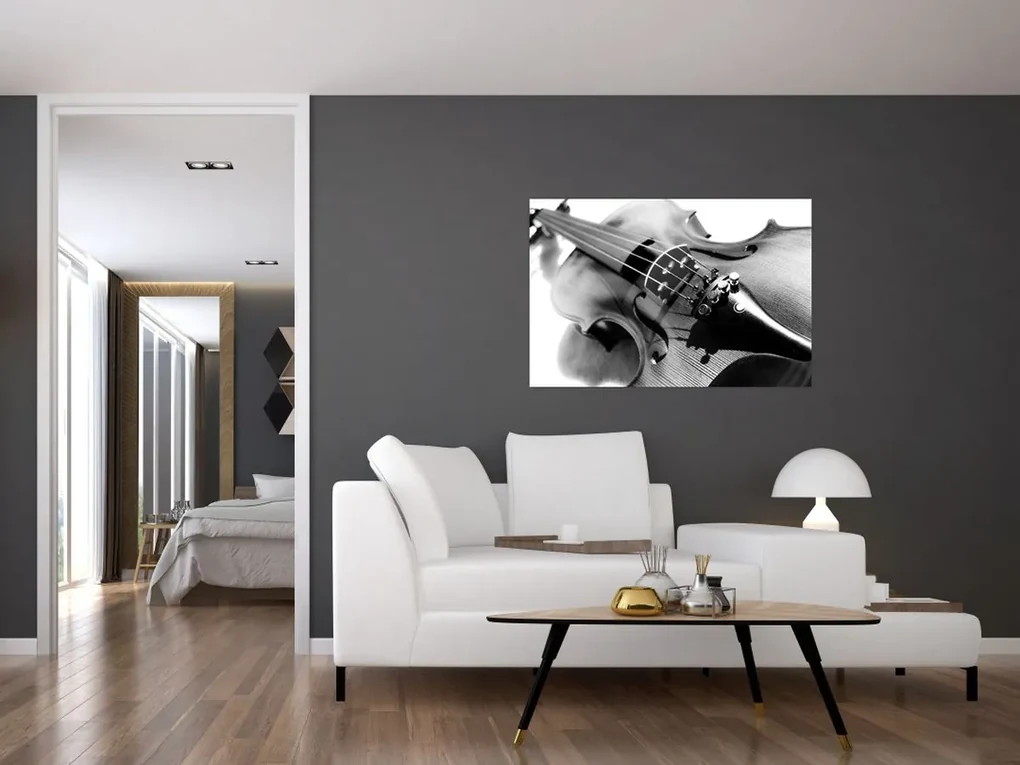 Obraz - Husle (90x60 cm)