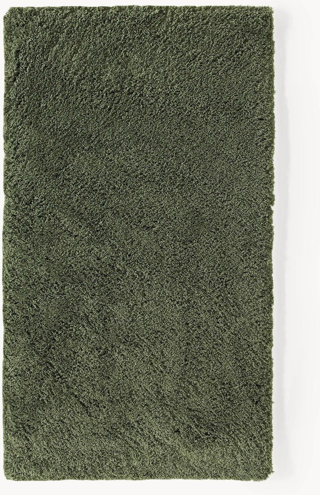 Huňatý koberec's vysokým vlasom Leighton