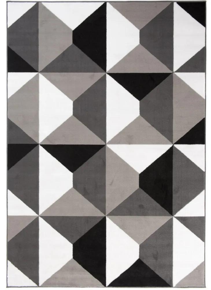 Kusový koberec PP Fino sivý, Velikosti 120x170cm