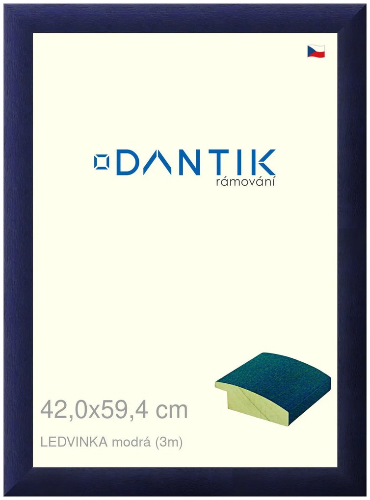 DANTIK rám na obraz 42x59,4 | LEDVINKA modrá (Plexi Čiré)