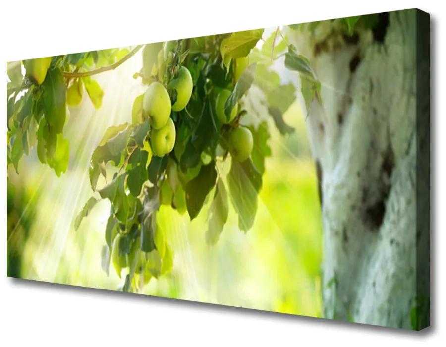 Obraz Canvas Jablká vetva strom príroda 140x70 cm