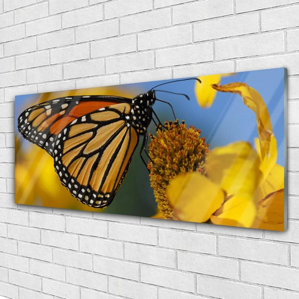 Obraz plexi Motýľ kvet príroda 125x50 cm