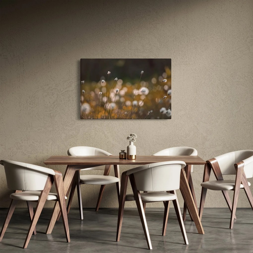 Obraz - Lúka s cottongrass N⁰2 (90x60 cm)