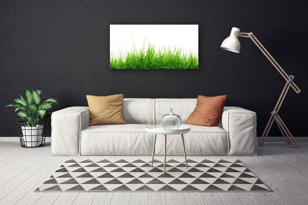Obraz Canvas Tráva príroda rastlina 140x70 cm