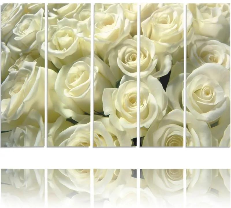 CARO Obraz na plátne - White Roses 150x100 cm