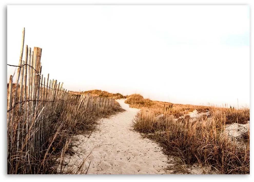 Obraz na plátně Pláž Písečné duny Travnaté plochy - 90x60 cm