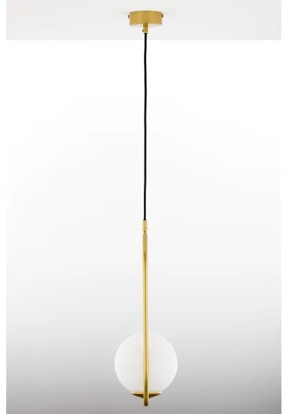 Jupiter 2042 - Luster na lanku IGON 1xE14/40W/230V zlatá