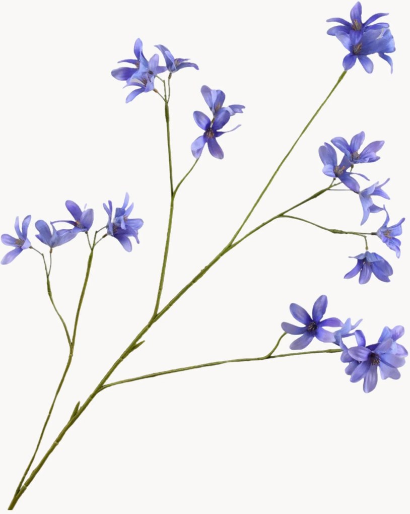 Rastlinná dekorácia Hyacinth