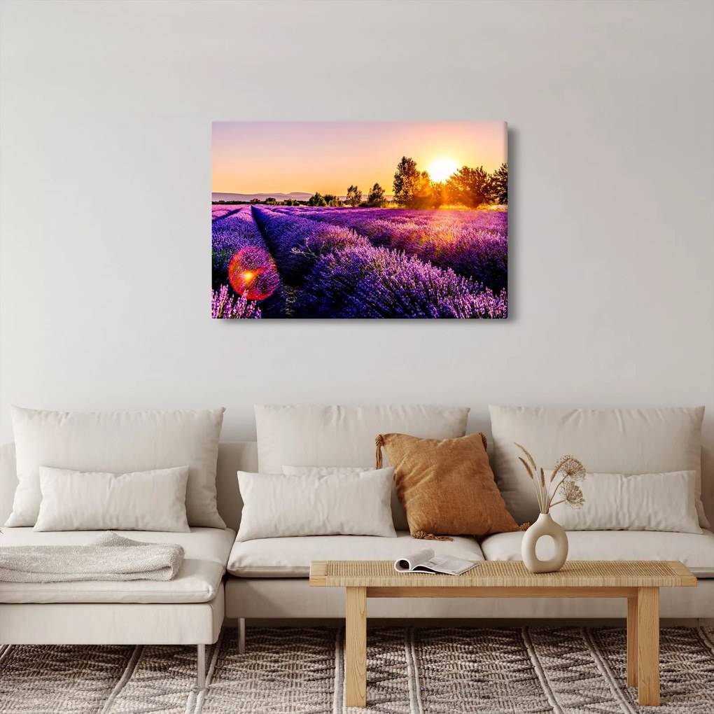 Obraz levanduľového poľa (90x60 cm)