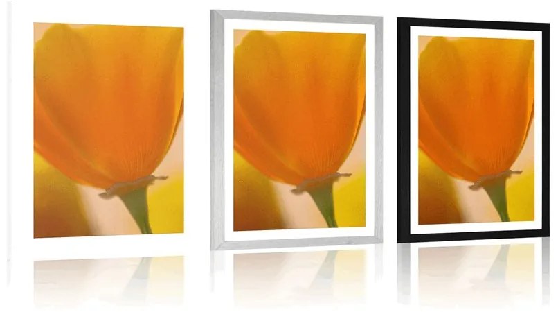 Plagát s paspartou kytica kvetov v detailnom zábere - 40x60 white