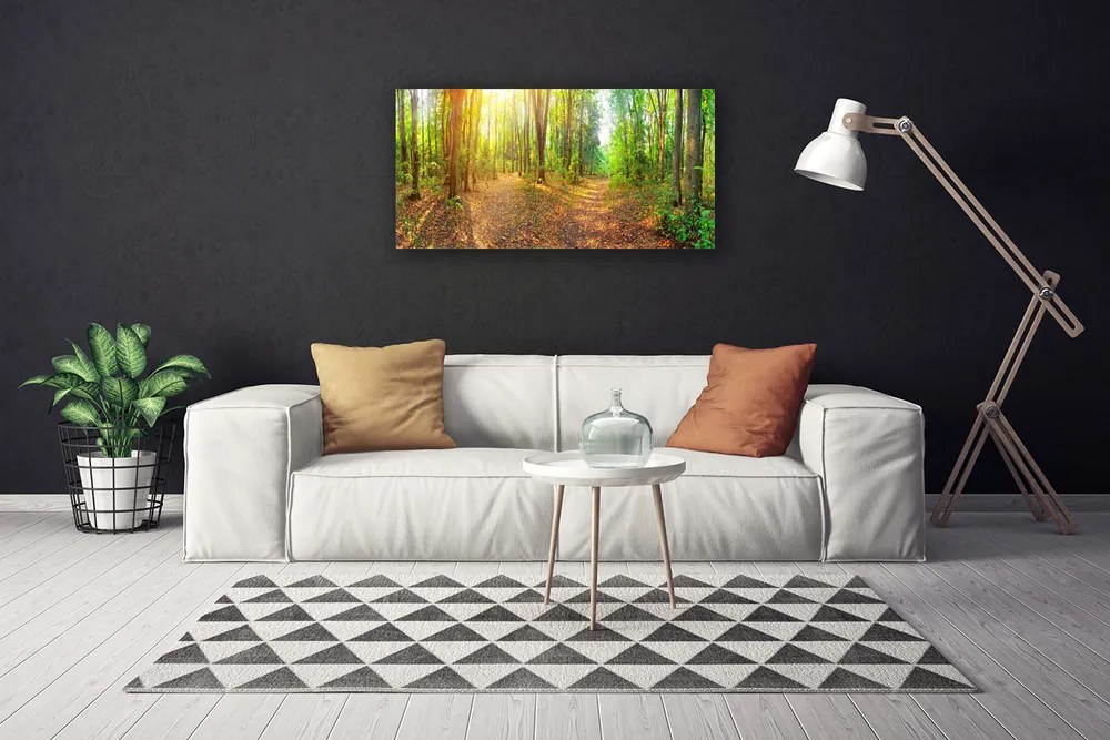 Obraz Canvas Slnko príroda lesné chodník 140x70 cm