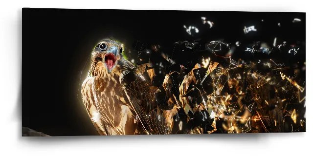 Sablio Obraz Dravec - 110x50 cm