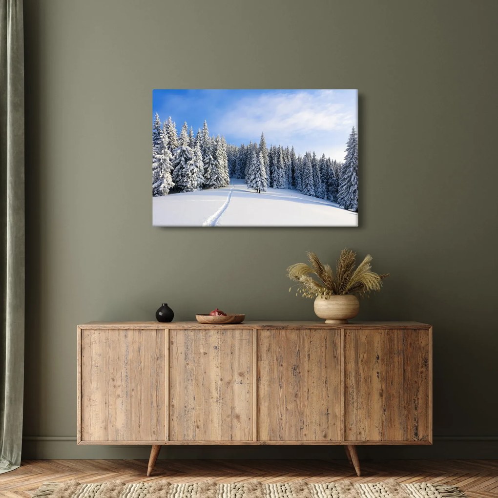 Obraz - Zima v lesoch (90x60 cm)