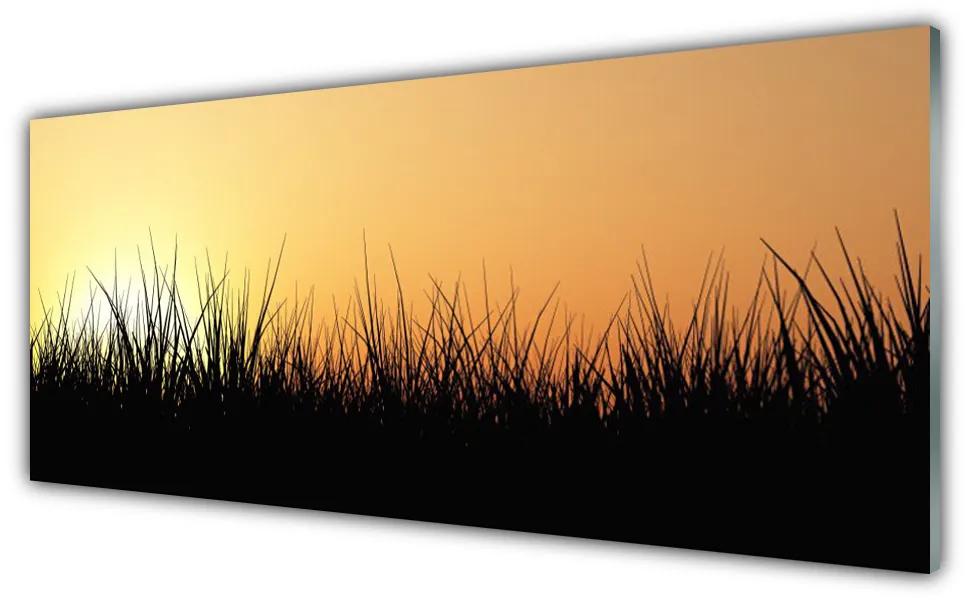 Obraz na akrylátovom skle Burina príroda rastlina 125x50 cm