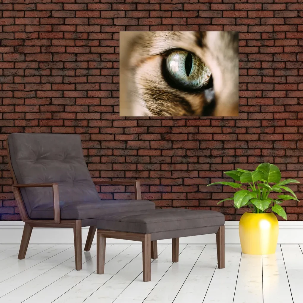 Sklenený obraz - Mačacie oko (70x50 cm)