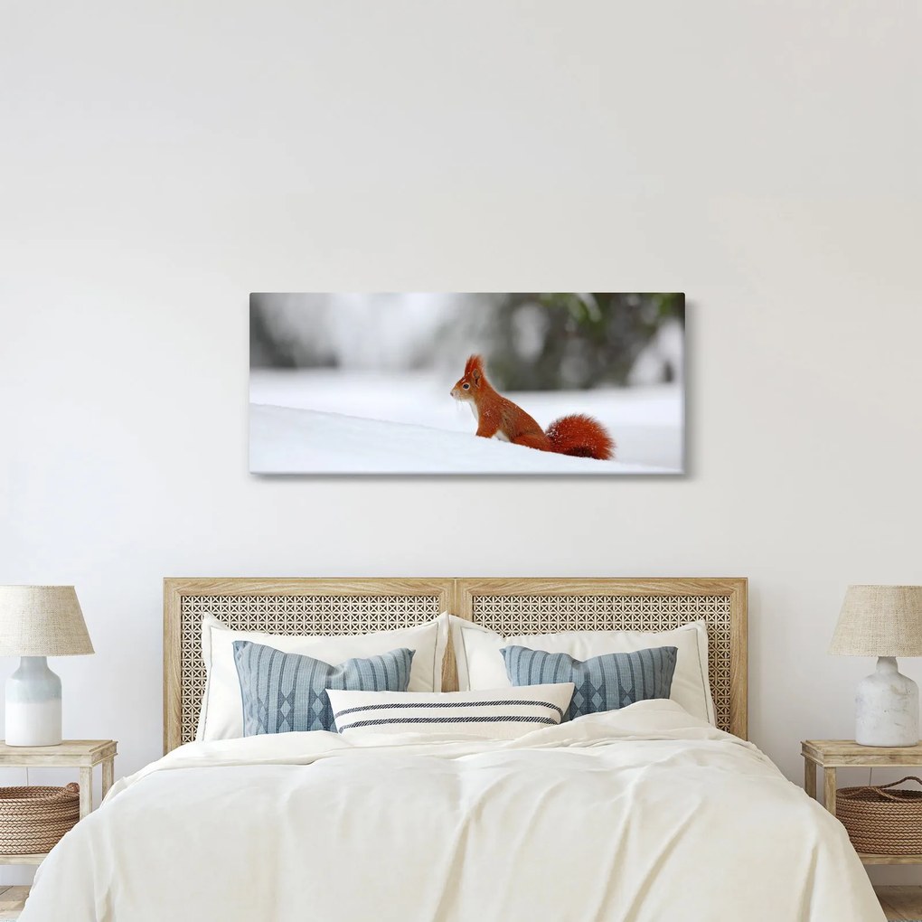 Obraz veveričky (120x50 cm)