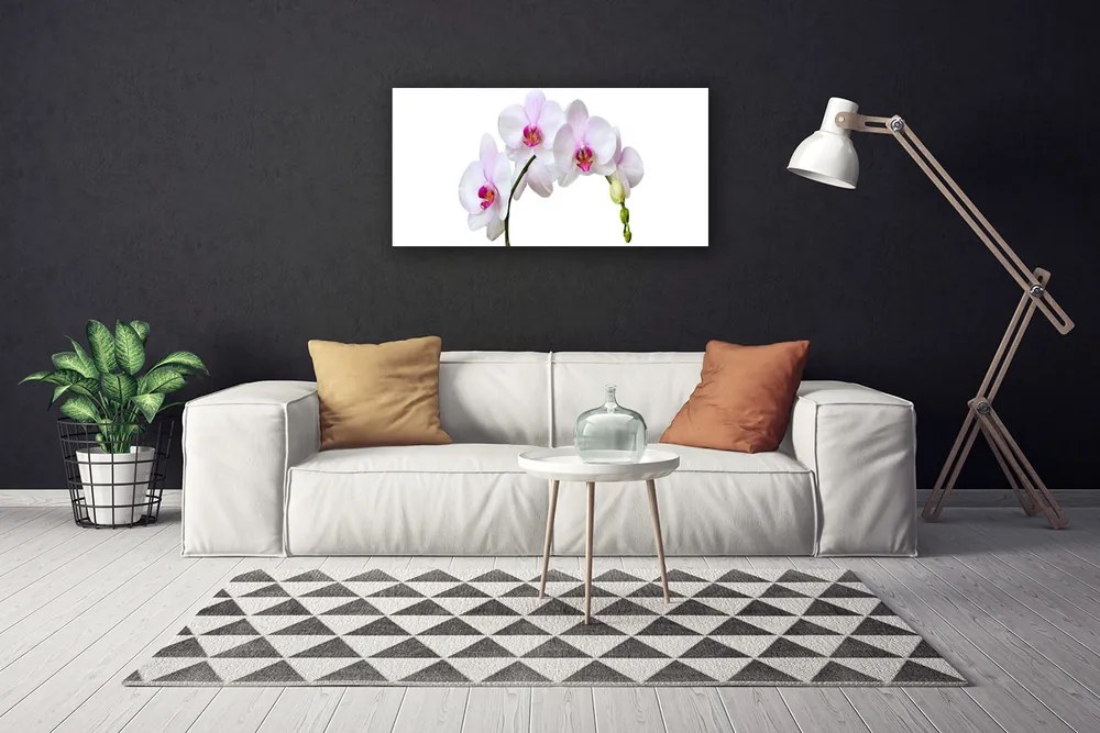 Obraz Canvas Vstavač orchidea kvety 140x70 cm